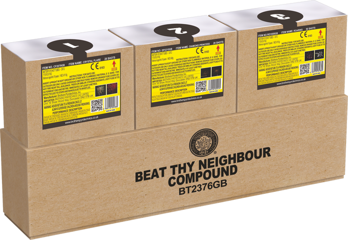 Brothers Beat Thy Neighbour Display Kit-BT2376GB