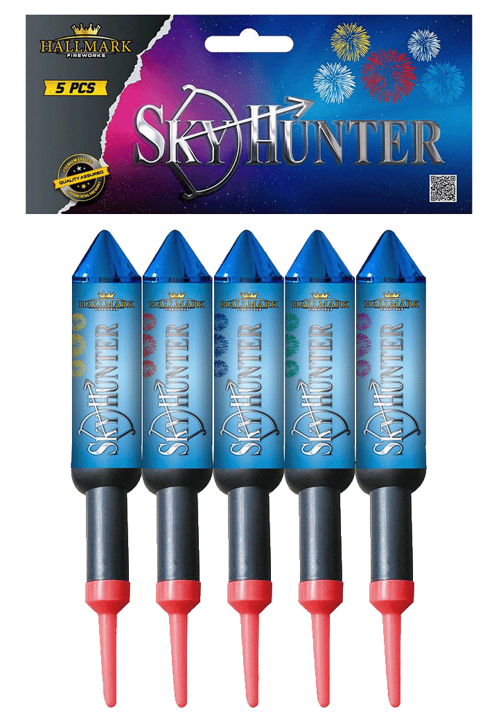Hallmark Sky Hunter-041