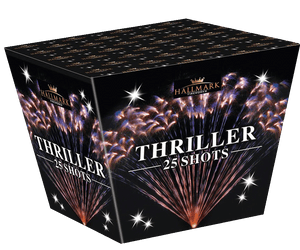 Hallmark Thriller-007