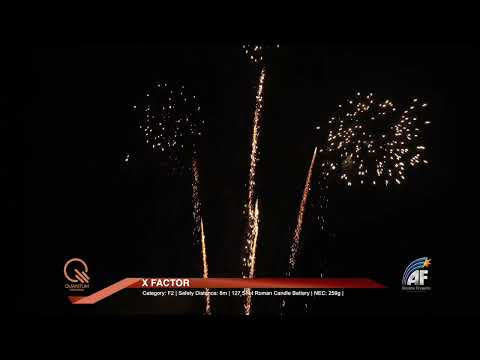 Absolute Fireworks X Factor - AF2446-NWI – Pyrotex Fireworks