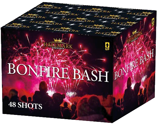 Hallmark Bonfire Bash-308